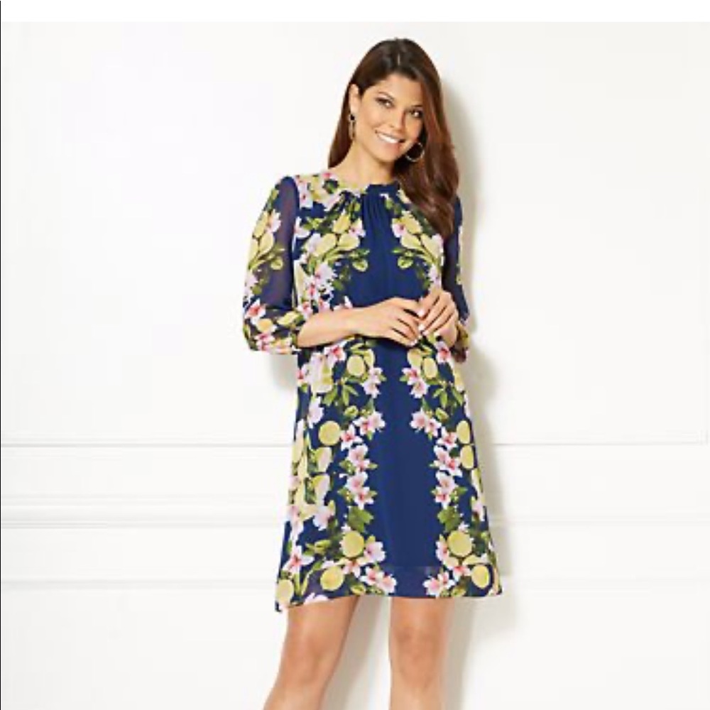 Eva Mendes Chiffon shirt dress
